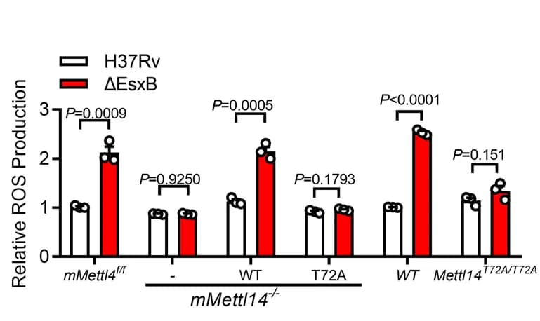 Open access visualization of Bar Plot, Error Bars, Clustered, Nucleus, ROS assay