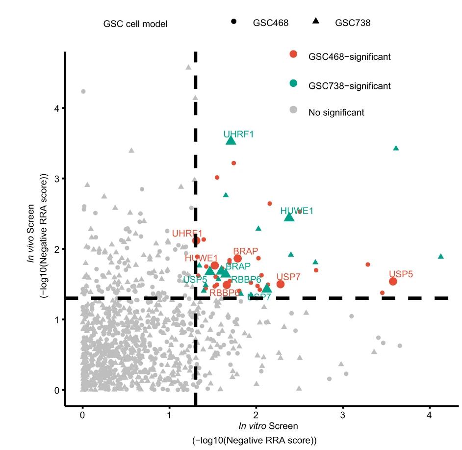 Open access visualization of Scatter Plot, Volcano Plot, Dot Plot, CRISPR Screen