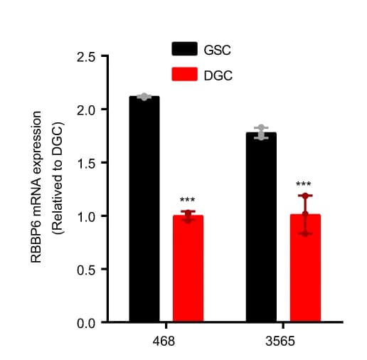 Open access visualization of Bar Plot, Error Bars, Clustered, RBBP6 mRNA Expression, GSCs