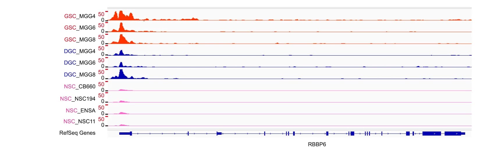 Open access visualization of Line Plot, Density Plot, H3K27ac Signal, RBBP6 Locus, GSCs