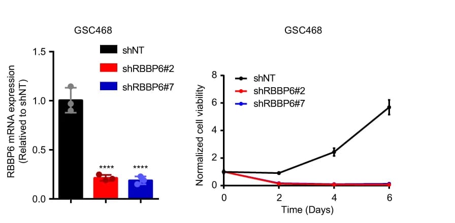 Open access visualization of Line Plot, Error Bars, Bar Plot, mRNA Level, RBBP6