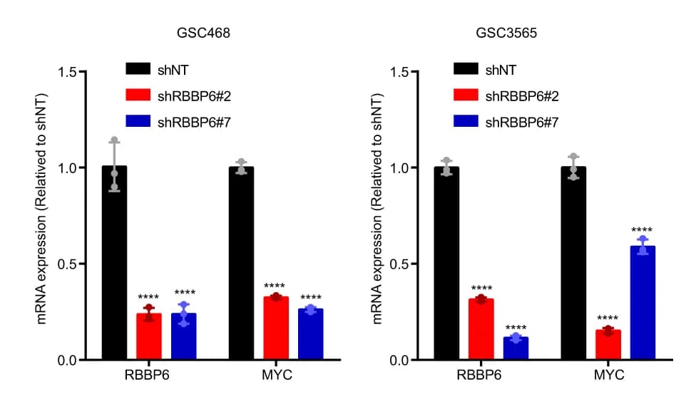 Open access visualization of Bar Plot, Error Bars, Clustered, mRNA Levels, RBBP6