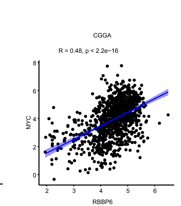 Open access visualization of Scatter Plot, Regression Plot, Correlation, RBBP6 Expression, MYC Expression