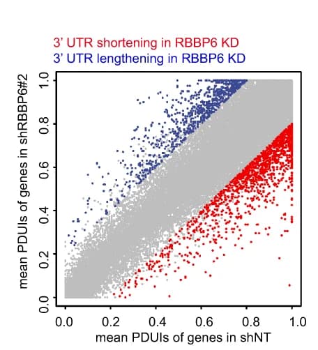 Open access visualization of Scatter Plot, Scatterplot, PDUIs, GSC468 Cells, shRNA
