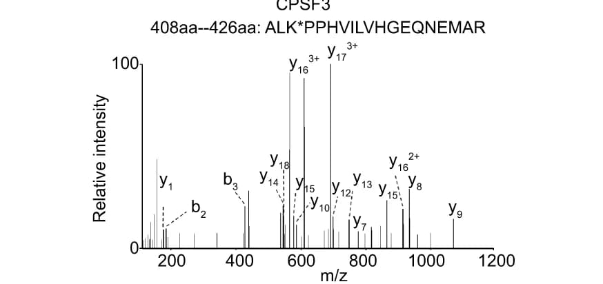Open access visualization of Bar Plot, MS Spectrum, Polyubiquitinated CPSF3 Peptide