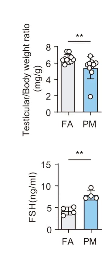 Open access visualization of Bar Plot, Error Bars, Testicular Weight, Body Weight Ratio, F1 Males