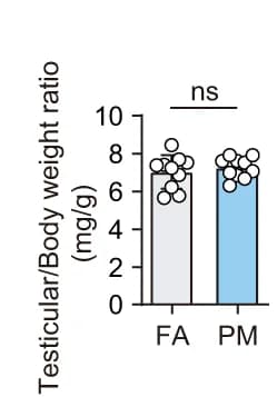 Open access visualization of Bar Plot, Scatter Plot, Testicular/Body Weight Ratio, Adult F2 Males
