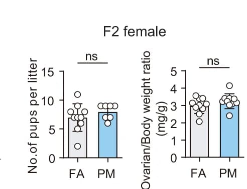 Open access visualization of Bar Plot, Scatter Plot, Error Bars, Pups Per Litter, Adult F2 Females
