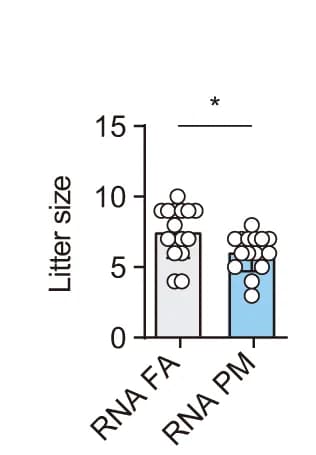 Open access visualization of Bar Plot, Error Bars, Pups per Litter, RNA-FA, RNA-PM