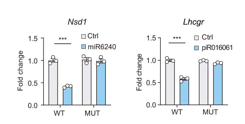 Open access visualization of Bar Plot, Error Bars, Luciferase Reporter Assay, Lhcgr, Nsd1