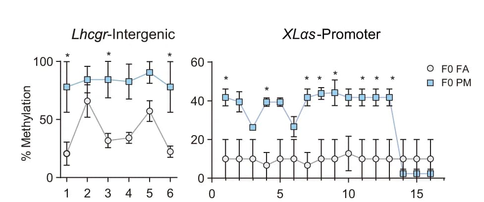 Open access visualization of Line Plot, Error Bars, Bisulfite Sequencing PCR Analysis, Lhcgr, XLαs Promoter