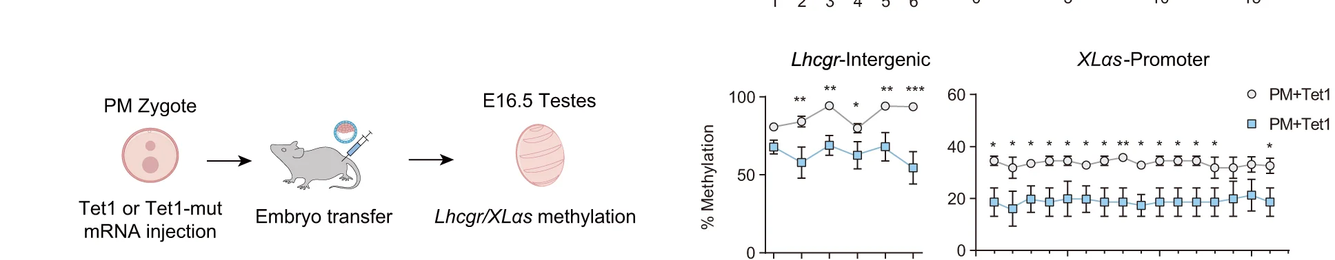 Open access visualization of Line Plot, Error Bars, Workflow, Illustration, Bisulfite Sequencing