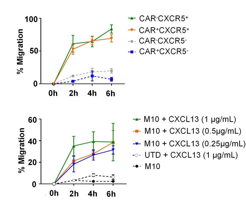 Open access visualization of Line Plot, Error Bars, CXCR5, T Cells, CXCL13