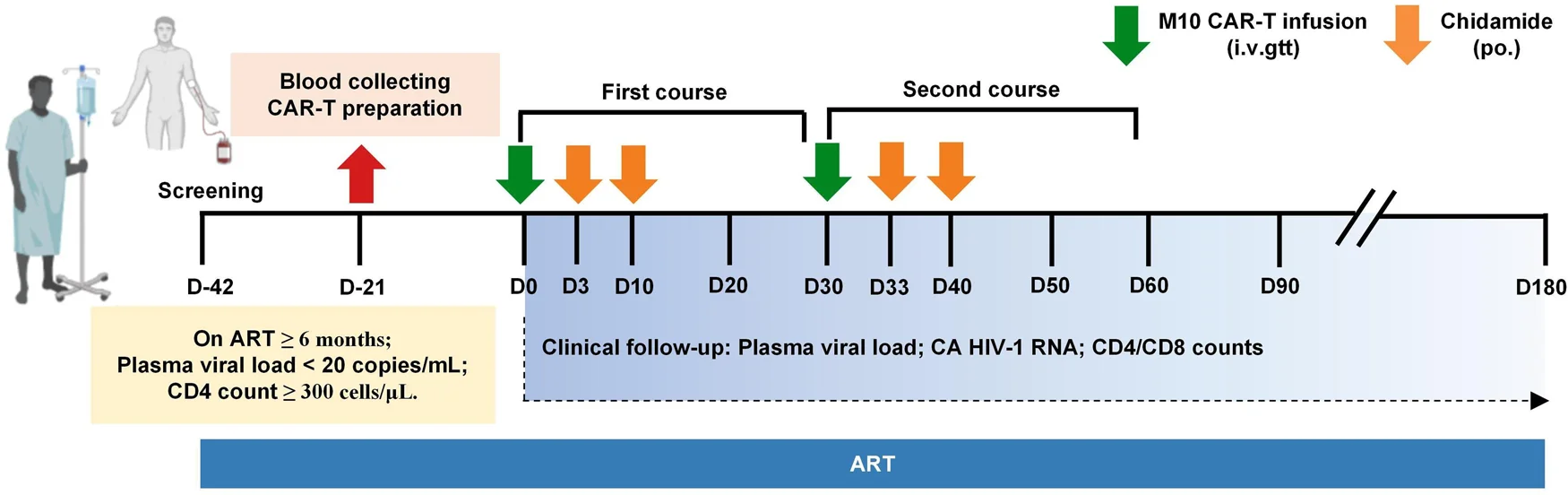 Open access visualization of Workflow, Clinical Trial, M10 CAR-T Treatment, Chidamide, PBMCs