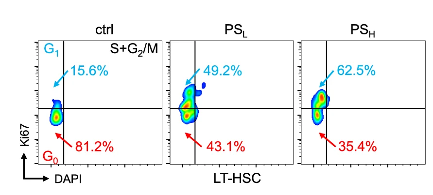Open access visualization of Scatter Plot, Flow Cytometry, Cell Cycle Distribution