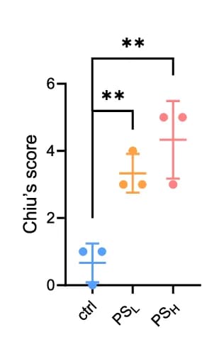 Open access visualization of Scatter Plot, Error Bars, Chiu's Score, Intestinal Section, Intestine