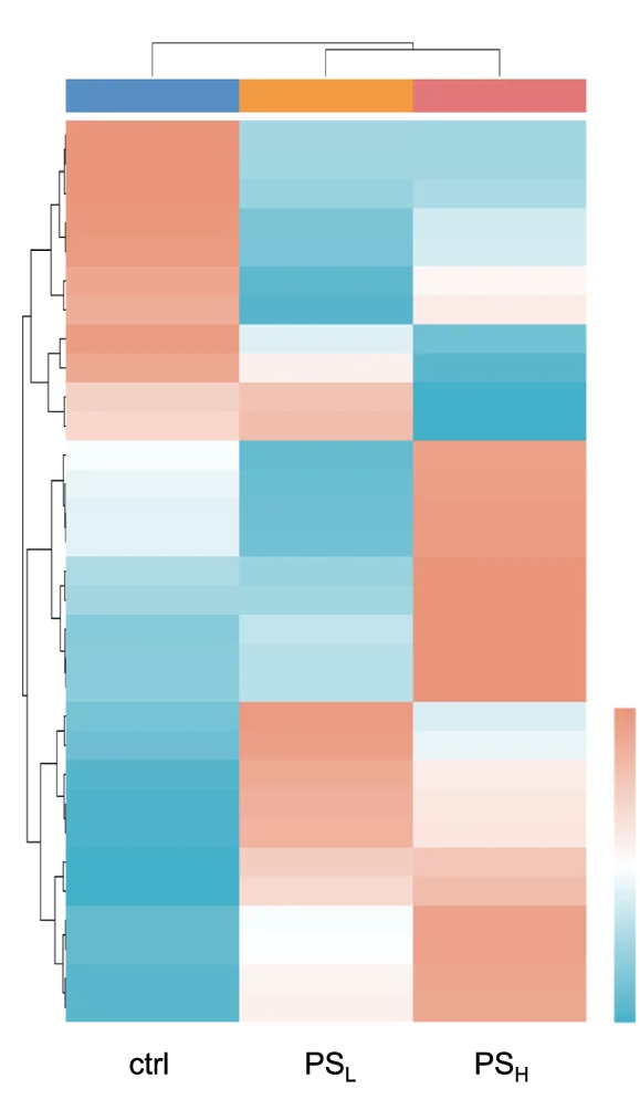 Open access visualization of Heatmap, Clustered, 16s rDNA, Microbial OUT Abundance, Ctrl Group
