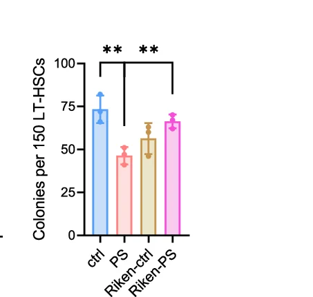 Open access visualization of Bar Plot, Error Bars, Statistical Plot, CFU, LT-HSCs