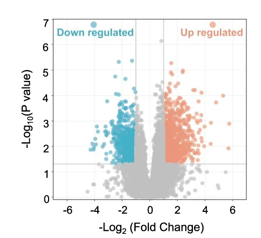 Open access visualization of Volcano Plot, Scatter Plot, Metabolites, Downregulated, Upregulated