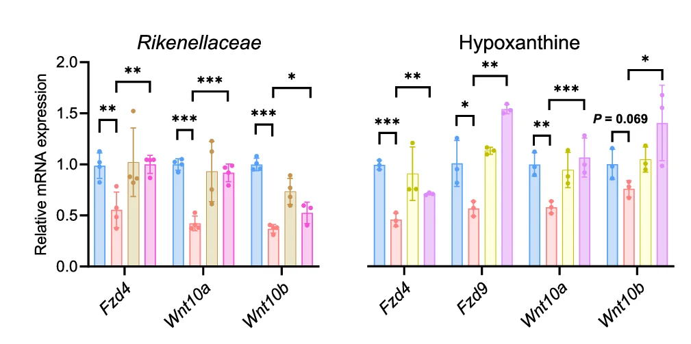 Open access visualization of Bar Plot, Error Bars, Clustered, mRNA Expression, Rikenellaceae