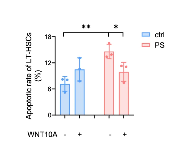 Open access visualization of Bar Plot, Error Bars, Apoptosis, LT-HSCs