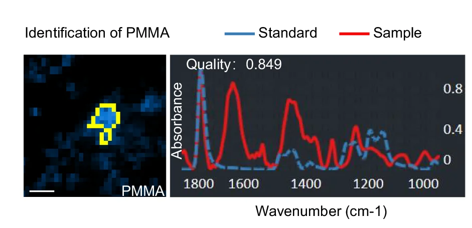 Open access visualization of Line Plot, Microscopy, MPs, Feces, Laser Direct Infrared Imaging