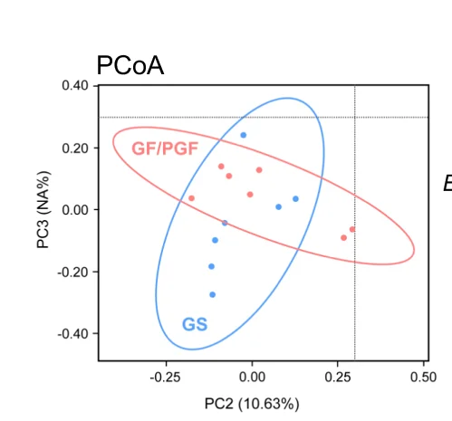 Open access visualization of Scatter Plot, PCA, PCoA, 16s rDNA, Feces