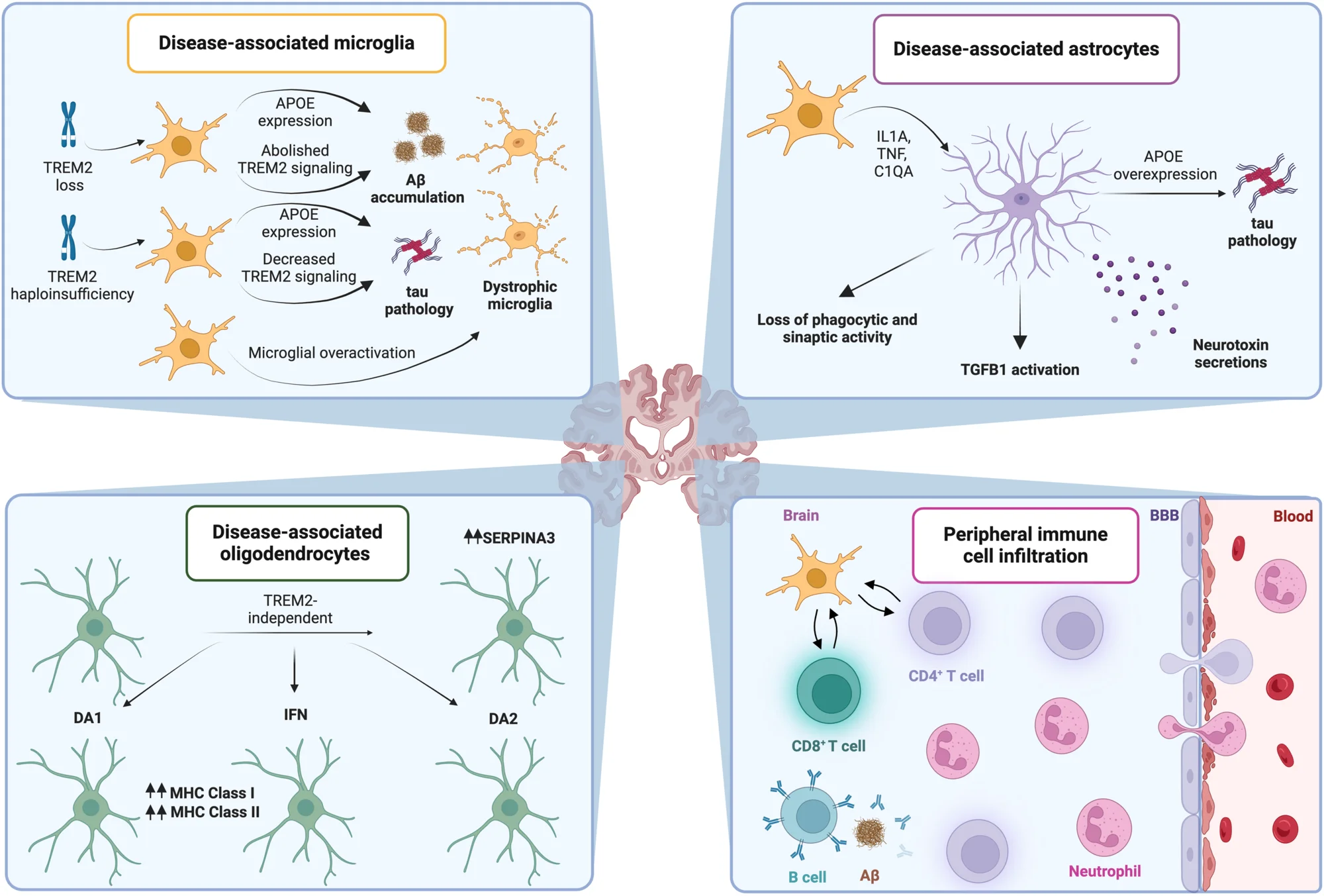 Open access visualization of Workflow, Illustration, Alzheimer's Disease, Microglial Cells, Apolipoprotein E