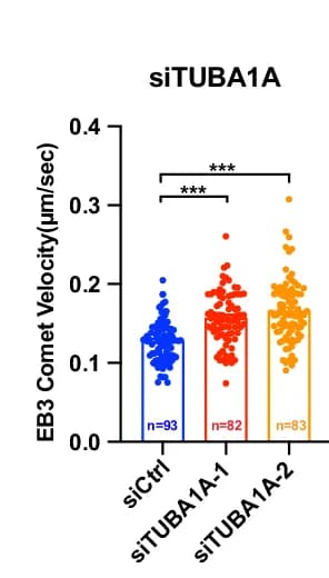 Open access visualization of Bar Plot, Scatter Plot, Error Bars, EB3 Comet Velocity, TubAR