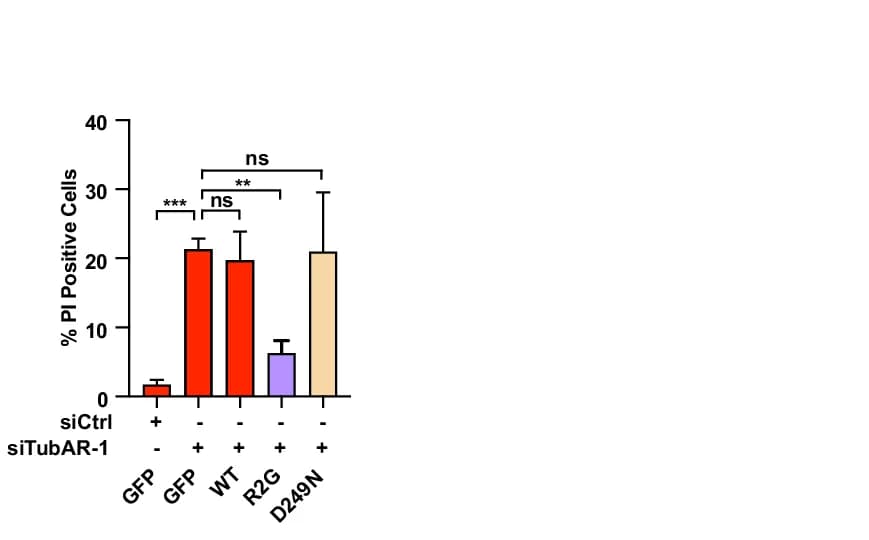Open access visualization of Bar Plot, Error Bars, Cell Viability, PI Positive Cells, Quantification