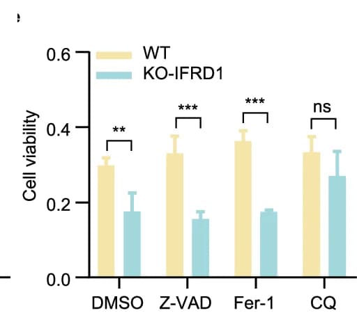 Open access visualization of Bar Plot, Error Bars, Clustered, Cell Viability, WT Cells