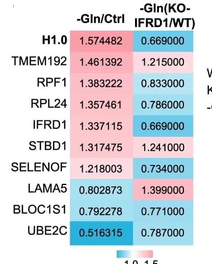 Open access visualization of Heatmap, Differential Expression, Screening Systems