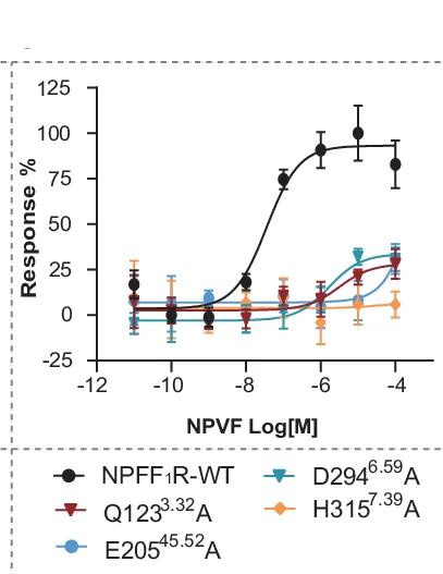 Open access visualization of Line Plot, Error Bars, Mutation, RF-amide Binding Pocket, Calcium Mobilization