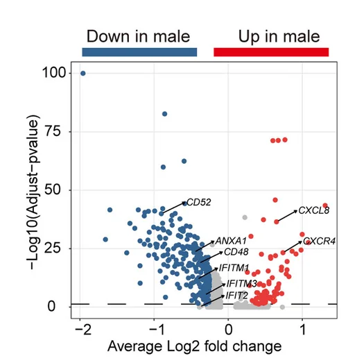 Open access visualization of Volcano Plot, DEGs, Neutrophils, Healthy Controls