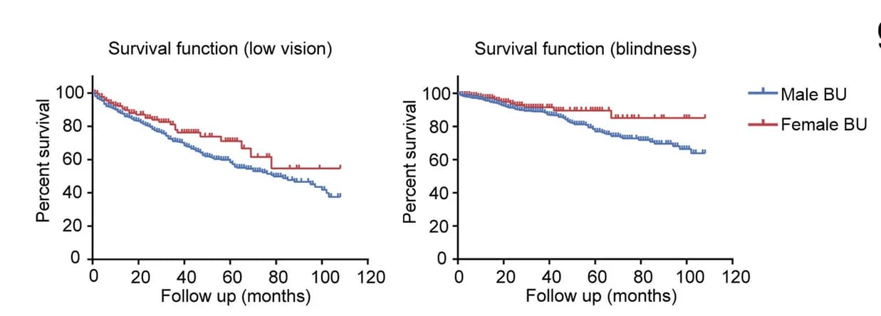 Open access visualization of Survival Curve, Kaplan-Meier Curves, Cumulative Survival, Low Vision, Blindness