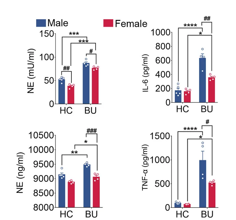 Open access visualization of Bar Plot, Error Bars, Clustered, Scatter Plot, Sex-Specific Differences