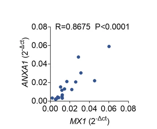 Open access visualization of Scatter Plot, Regression Plot, Correlation, MX1, ANXA1