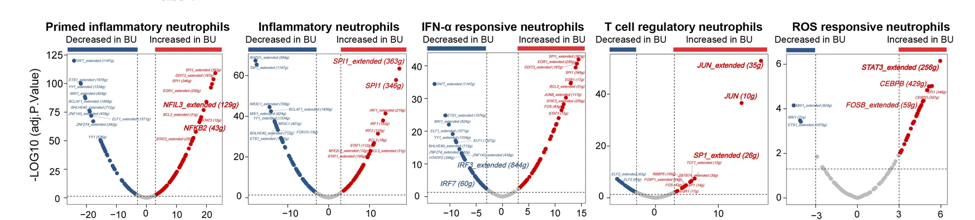 Open access visualization of Scatter Plot, Volcano Plot, Differentially Expressed Transcription Factors, Cluster Subsets, BU Patients