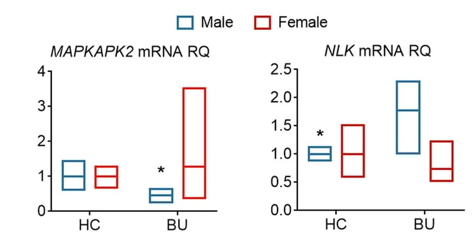 Open access visualization of Box Plot, Sex-specific Differences, MAPKAPK2 Expression, NLK Expression, Neutrophils