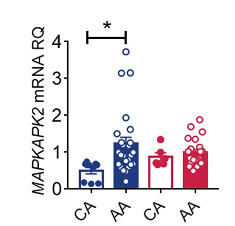 Open access visualization of Bar Plot, Error Bars, Scatter Plot, Sex-specific Difference, rs4240847 Genotype