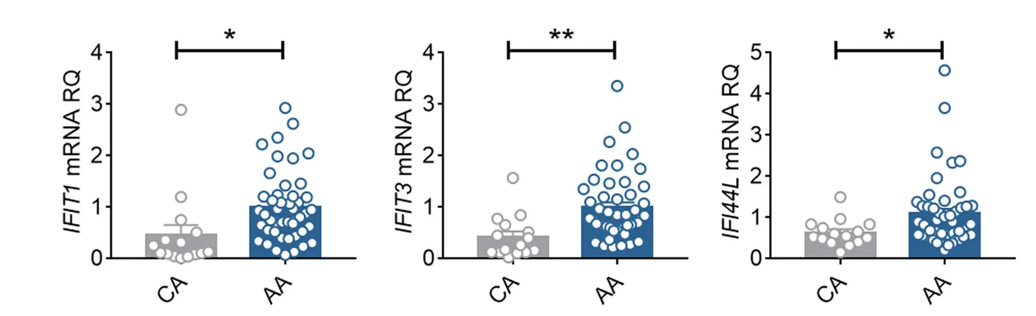 Open access visualization of Bar Plot, Scatter Plot, Error Bars, MAPKAPK2 SNP rs4240847 Genotype, Type I Response