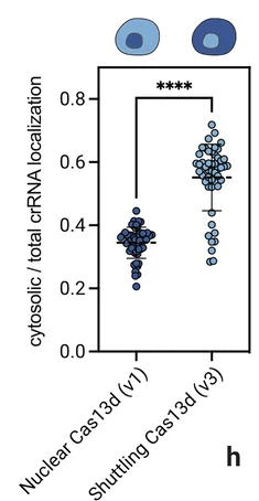 Open access visualization of Scatter Plot, Error Bars, Quantification, crRNA, Staining Intensity