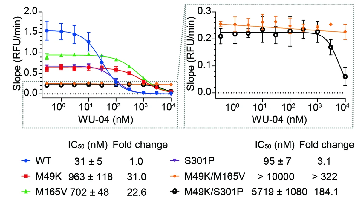 Open access visualization of Line Plot, Error Bars, Inhibitory Activity, WU-04, SARS-CoV-2 3CLpro