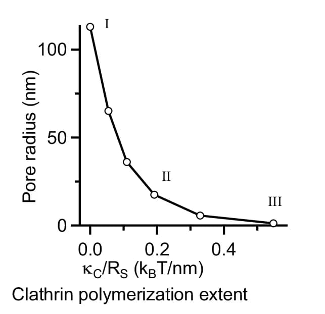 Open access visualization of Line Plot, Pore Radius, Coat Polymerization, Ω-bud Profiles