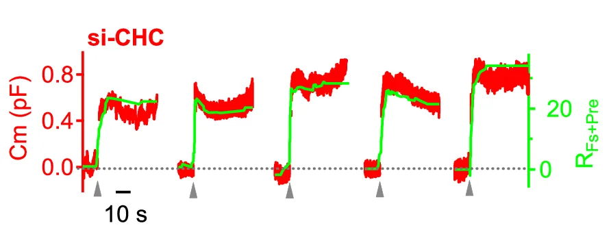 Open access visualization of Line Plot, Error Bars, Line Step, Cm, R fs+pre