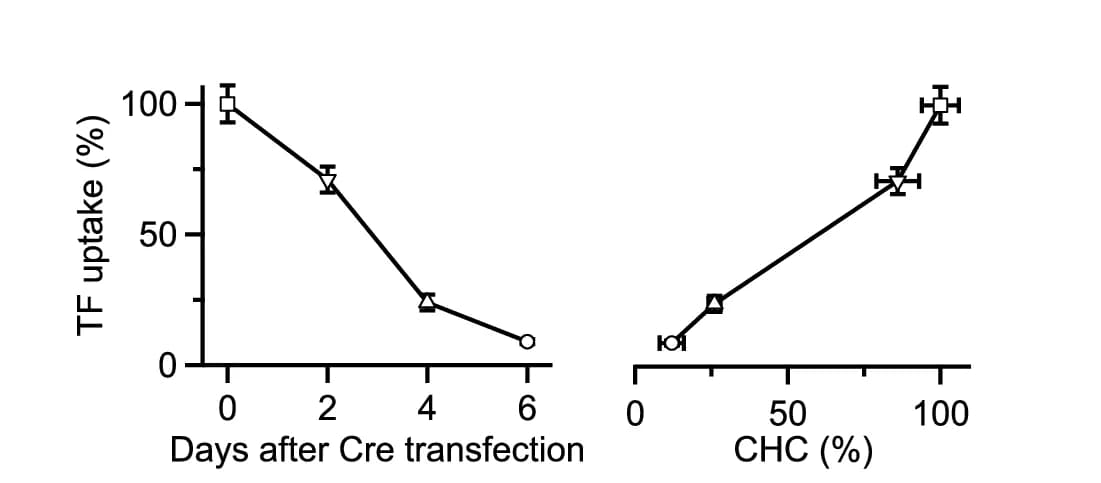 Open access visualization of Line Plot, Error Bars, Scatter Plot, TF Uptake Intensity, Cell Bodies