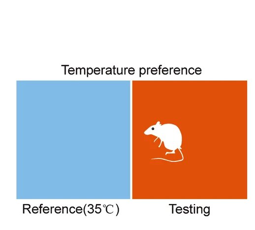 Open access visualization of Illustration, Temperature Preference Test, WT Mice, Tmc6 Knockout Mice, Trpv1 Knockout Mice