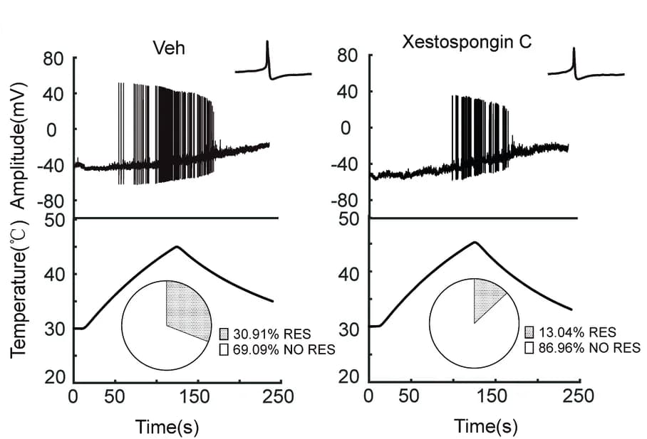 Open access visualization of Line Plot, Pie Chart, Heat-evoked Action Potentials, DRG Neurons, Neurons