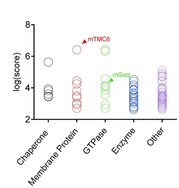 Open access visualization of Scatter Plot, Mass Spectrometry, Co-immunoprecipitation, Antibody, Cell Lysate