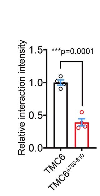 Open access visualization of Bar Plot, Error Bars, Quantification, Protein Interaction, Gaq-FLAG